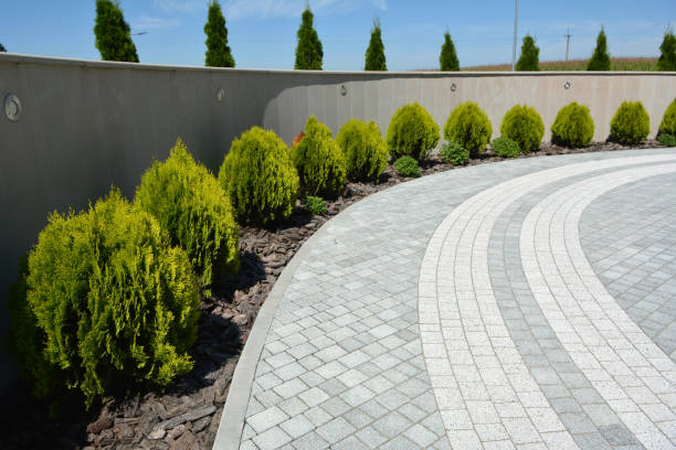 Best Driveway Repair Near Me  in Westwood, PA